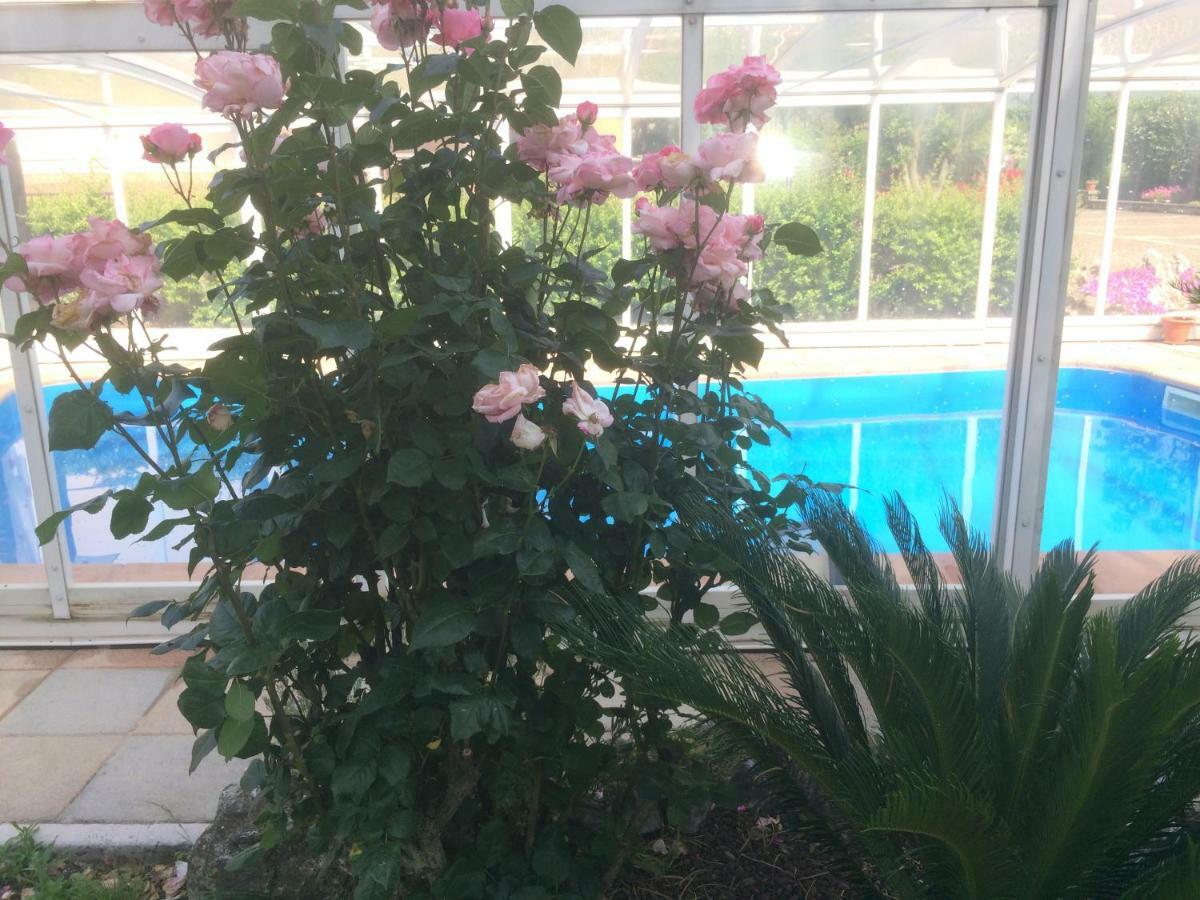 Villa Margherita Montaquila 외부 사진
